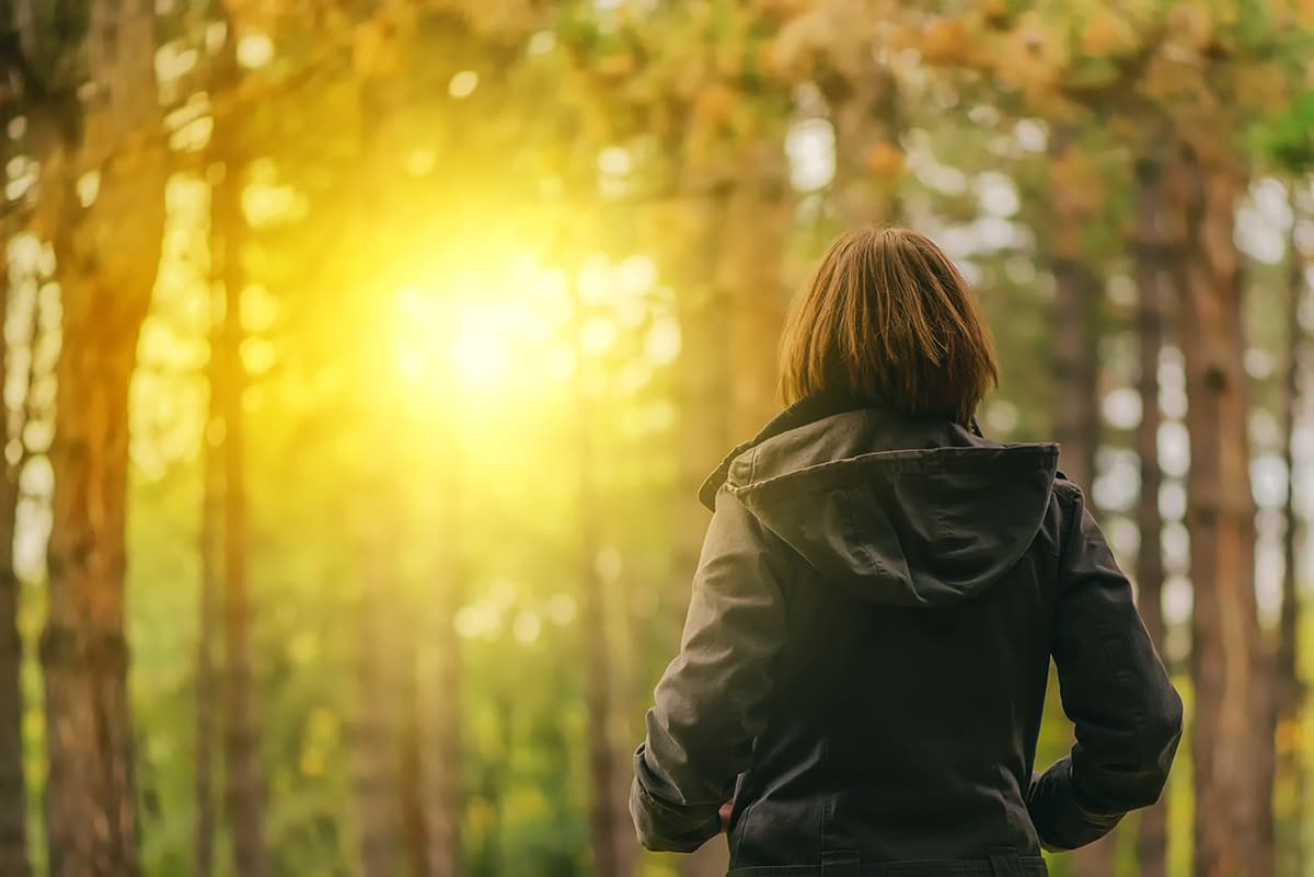 walking in forest with bright sun