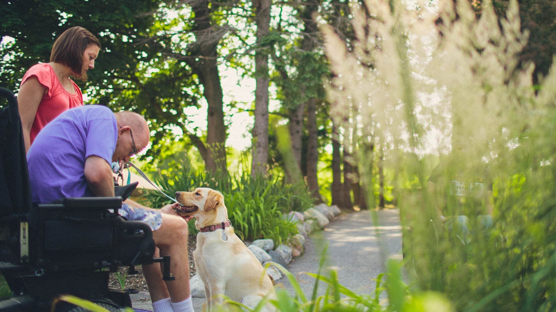 animal assisted therapy dog